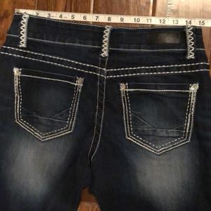 Day Trip Virgo SKINNY size 28 Long